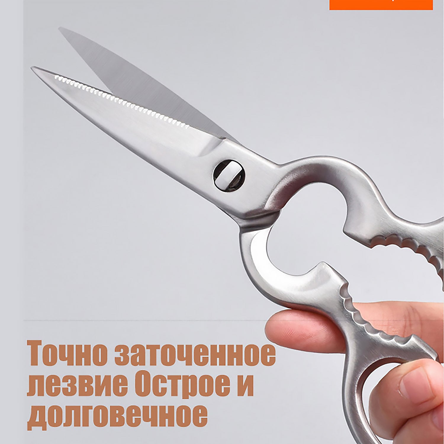 3-в-1 Ножницы из нержавеющей стали 3Cr13｜Для куриных костей, рыбы, орехов + Разборная конструкция